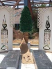 چهارمین کارنمای 