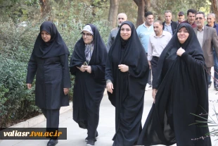 برگزاری همایش پیاده‌روی به مناسبت گرامی‌داشت هفته تربیت بدنی و ورزش در دانشکده ولی عصر(عج) 3