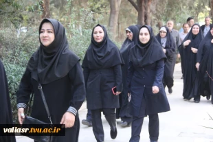 برگزاری همایش پیاده‌روی به مناسبت گرامی‌داشت هفته تربیت بدنی و ورزش در دانشکده ولی عصر(عج) 4