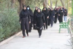 برگزاری همایش پیاده‌روی به مناسبت گرامی‌داشت هفته تربیت بدنی و ورزش در دانشکده ولی عصر(عج) 6