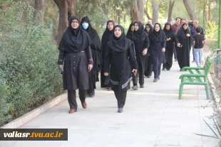 برگزاری همایش پیاده‌روی به مناسبت گرامی‌داشت هفته تربیت بدنی و ورزش در دانشکده ولی عصر(عج) 6