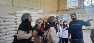 بازدید دانشجویان رشته صنایع غذایی دانشکده ولی عصر(عج) از کارخانه فرآوری غلات برند ماماتین 4