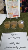 برگزاری نمایشگاه آثار پژوهشی و محصولات تولیدی  گروه صنایع غذایی در ساختمان آموزش دانشکده ولی عصر (عج) 10