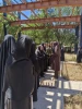 برگزاری مراسم تجلیل از خانواده شهدای جنگ دوازده روزه و جنگ رمضان در دانشکده ولی عصر (عج) 7