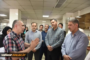 رئیس دانشگاه ملی مهارت با مدیرکل غله و خدمات بازرگانی استان تهران دیدار و گفت‌وگو کرد 12
