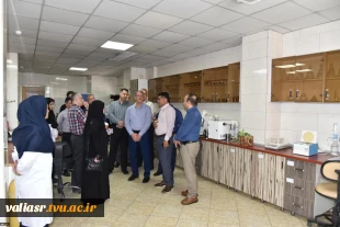 رئیس دانشگاه ملی مهارت با مدیرکل غله و خدمات بازرگانی استان تهران دیدار و گفت‌وگو کرد 13