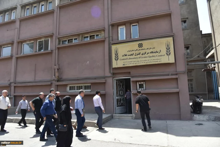 رئیس دانشگاه ملی مهارت با مدیرکل غله و خدمات بازرگانی استان تهران دیدار و گفت‌وگو کرد 14