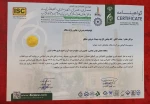 موفقیت و پذیرش مقالات ارزشمند اساتید و دانشجویان رشته گرافیک دانشکده ولی عصر(عج) در کنفرانس های ملی و  بین المللی 2