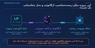 طراحی نرم افزار شبیه‌ساز هوش ارگانوئیدی توسط دانشجوی دانشکده ملی مهارت ولی عصر (عج) 4