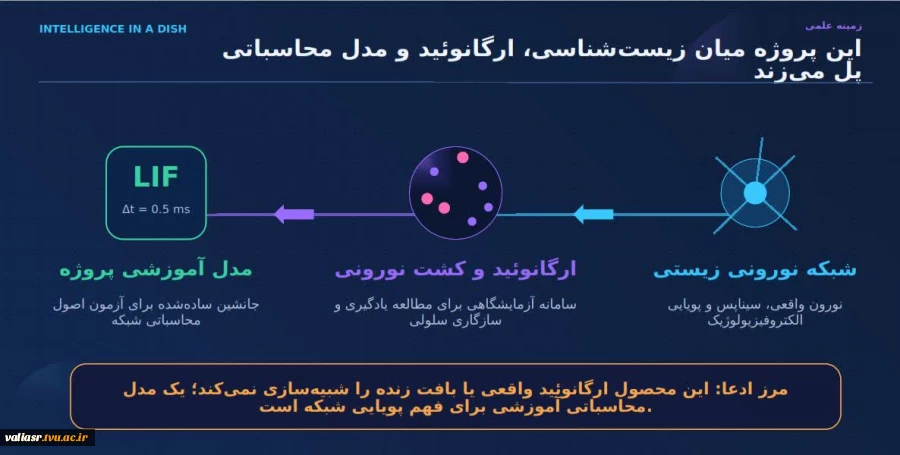 طراحی نرم افزار شبیه‌ساز هوش ارگانوئیدی توسط دانشجوی دانشکده ملی مهارت ولی عصر (عج) 4
